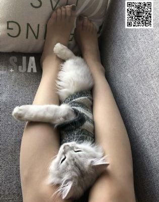 小林家的龙女仆第三集_剧情片手机免费观看完整