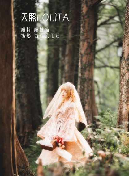 夺娶李沐宸电视剧免费观看_1080在线观看电视